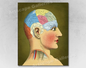 Vintage Science Poster Phrenology A4//A3 Poster