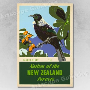 Cartel de viaje de estilo vintage de pájaro Tui del bosque de Nueva Zelanda de los años 50