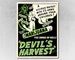1942 'Devil's Harvest' Vintage Marijuana Movie Poster 