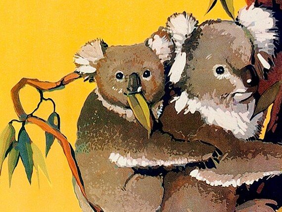 Australia New Zealand Koala Bear by Air Vintage Travel Advertisement Art Poster 