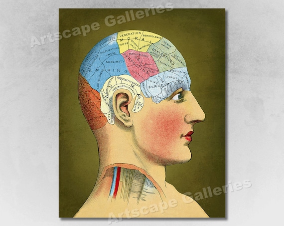 Phrenology Chart Poster