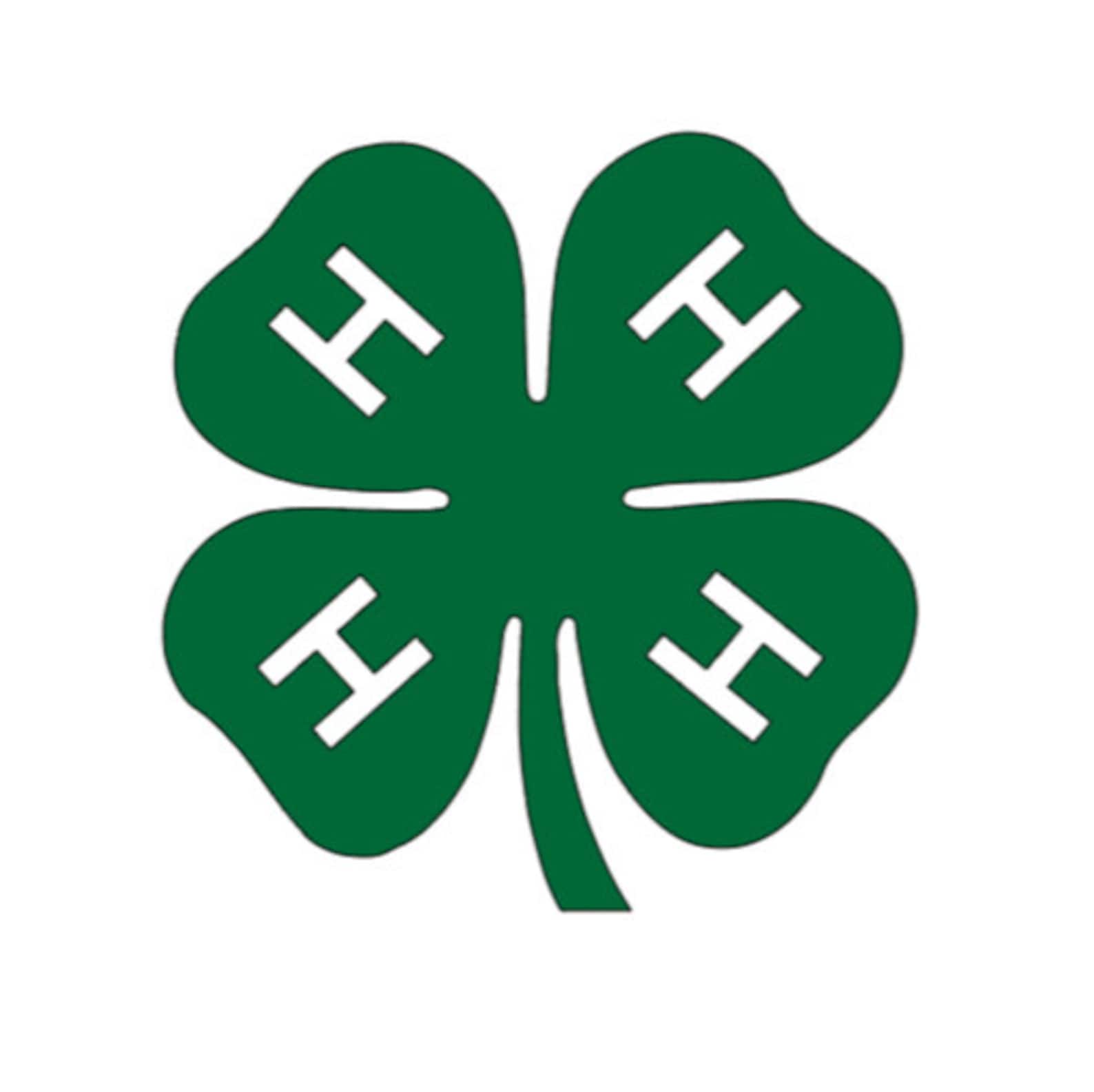 4H Clover Vinyl Decal Etsy