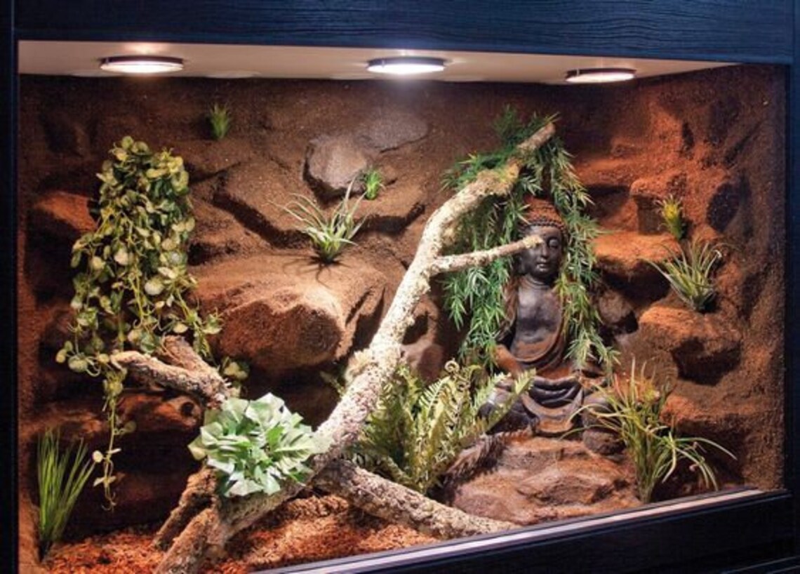 Custom Reptile Hides and Tank Builds Etsy