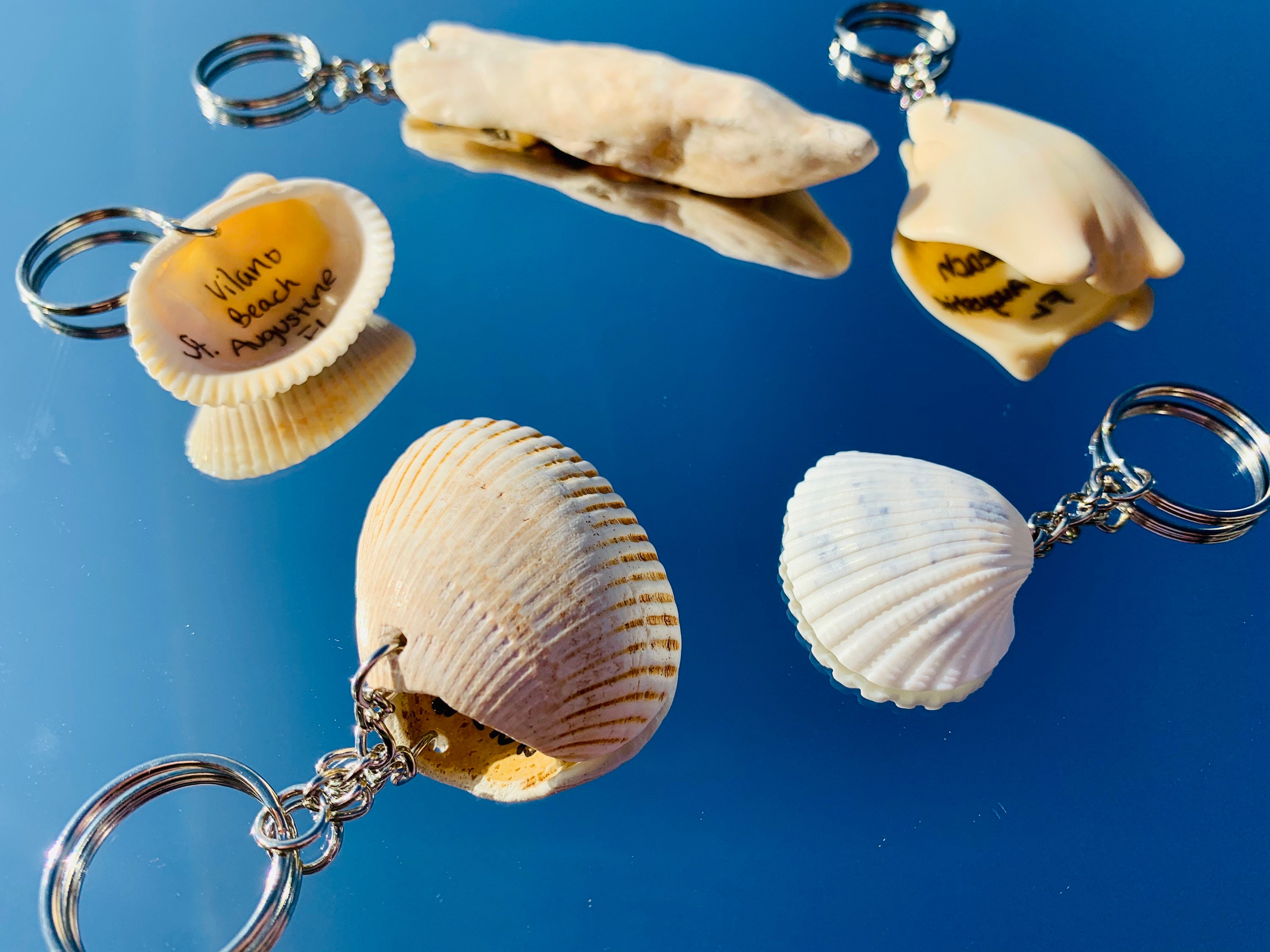 Seashell Key Chain Beach Key Chain Key Ring Key Fob Etsy