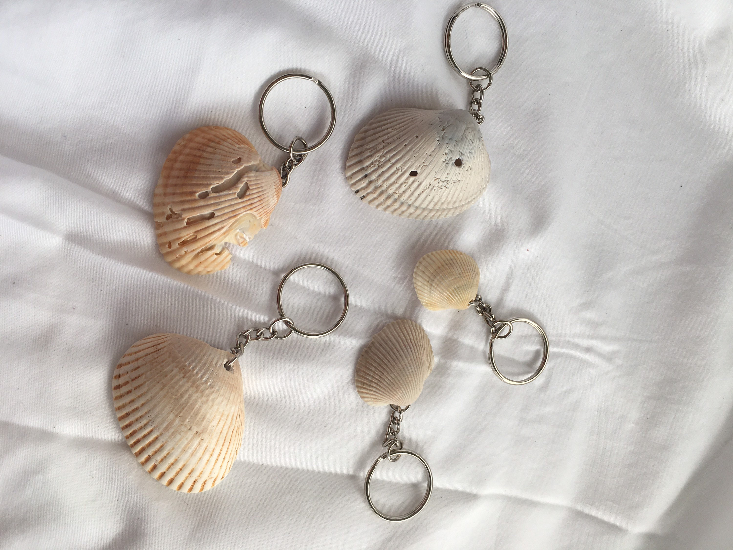 Seashell Key Chain Beach Key Chain Key Ring Key Fob Etsy