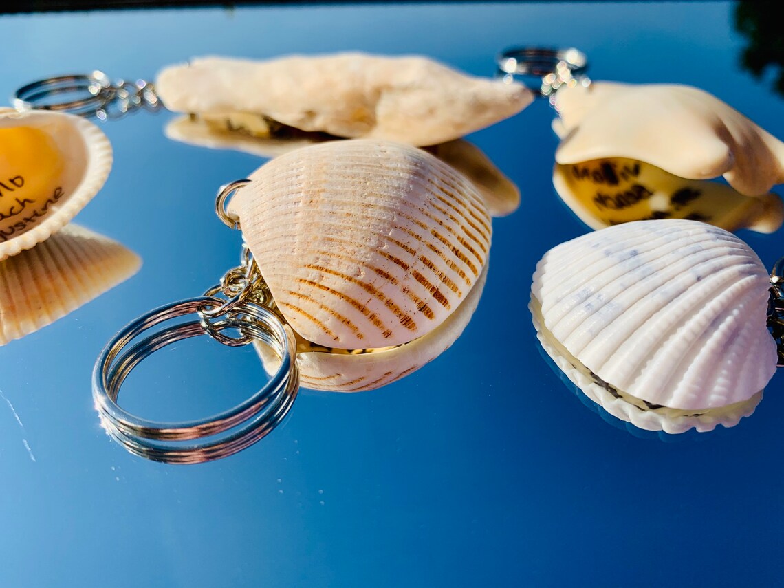 Seashell Key Chain Beach Key Chain Key Ring Key Fob Etsy