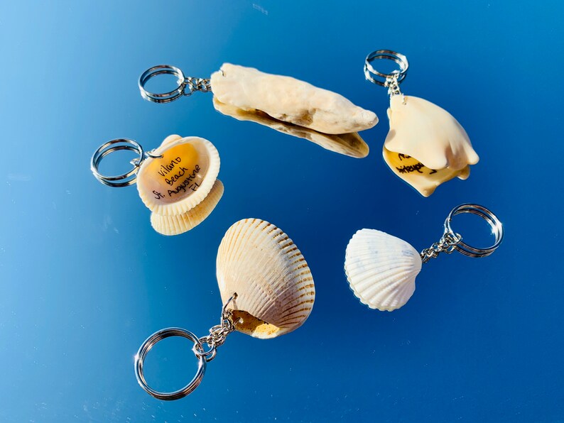 Seashell Key Chain Beach Key Chain Key Ring Key Fob Etsy