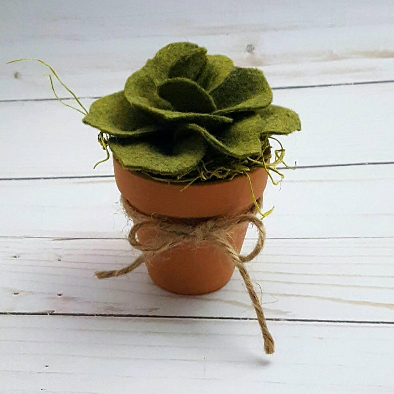 Potted felt succulent with moss potted succulent felt plant Etsy