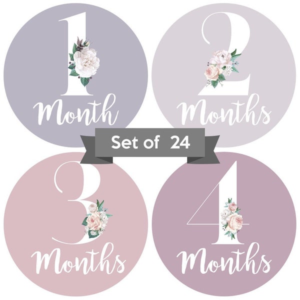 Baby Monthly Stickers | Mauve Floral Baby Milestone Stickers | Newborn Girl Stickers | Month Stickers for Baby Girl (Set of 24)