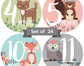 Baby Monthly Stickers | Woodland Animal Baby Milestone Stickers | Newborn Girl Stickers | Floral Month Stickers for Baby Girl (Set of 24)