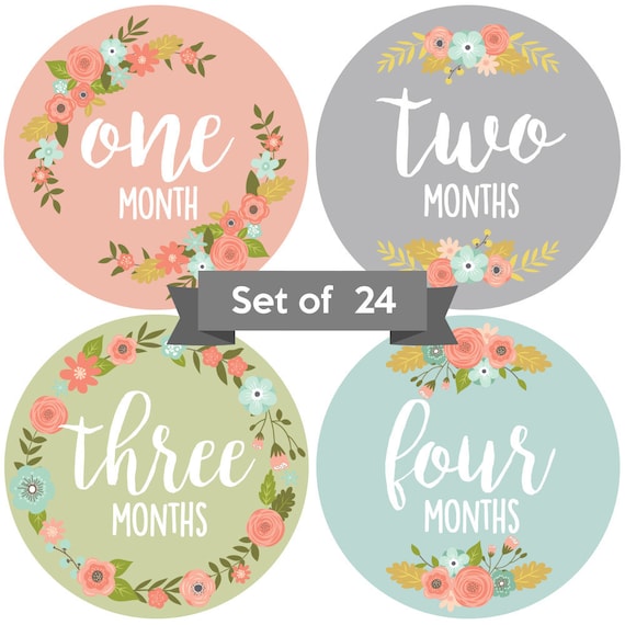 Baby Monthly Milestone Stickers - First Year Set of Baby Girl Month Stickers for Photo Keepsakes - Shower Gift - Set of 20