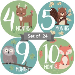 Baby Monthly Stickers | Gender Neutral Baby Milestone Stickers | Woodland Animal Newborn Stickers | Unisex Stickers for Baby (Set of 24)