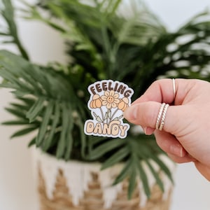 May include: A sticker with a floral design and the words "Feeling Dandy" in a retro font. The sticker features a smiling flower and several other flowers in shades of orange and brown. The sticker is held in front of a green plant.