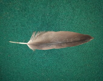 Pluma que muda naturalmente. Libre de crueldad.