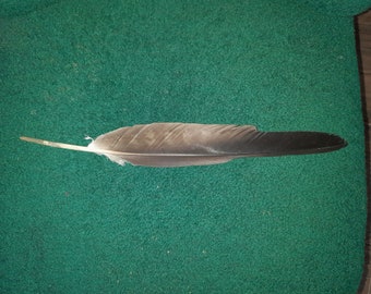 Pluma de muda natural, libre de crueldad.