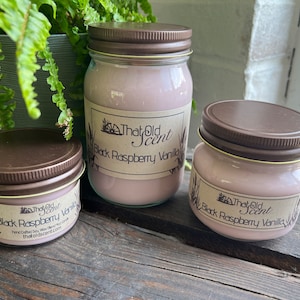 Black Raspberry Vanilla Scented Soy Wax Blended Candle - By ThatOldScent™