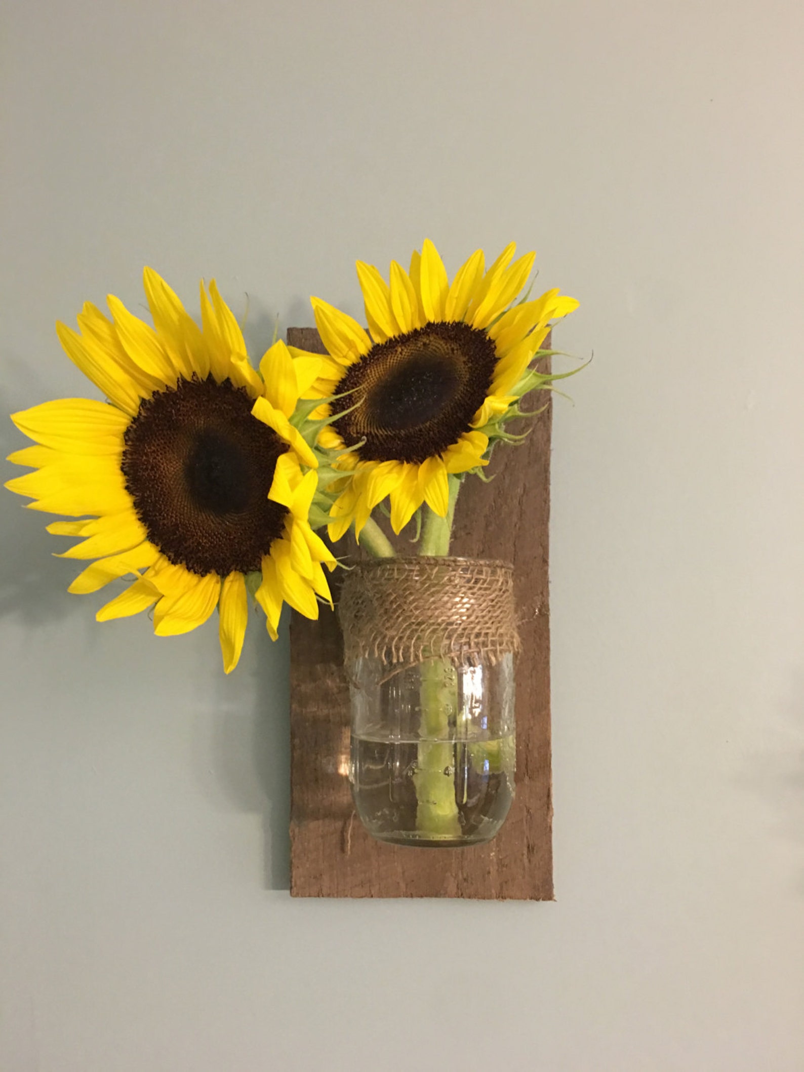 Rustic Mason Jar Wall Vases Etsy