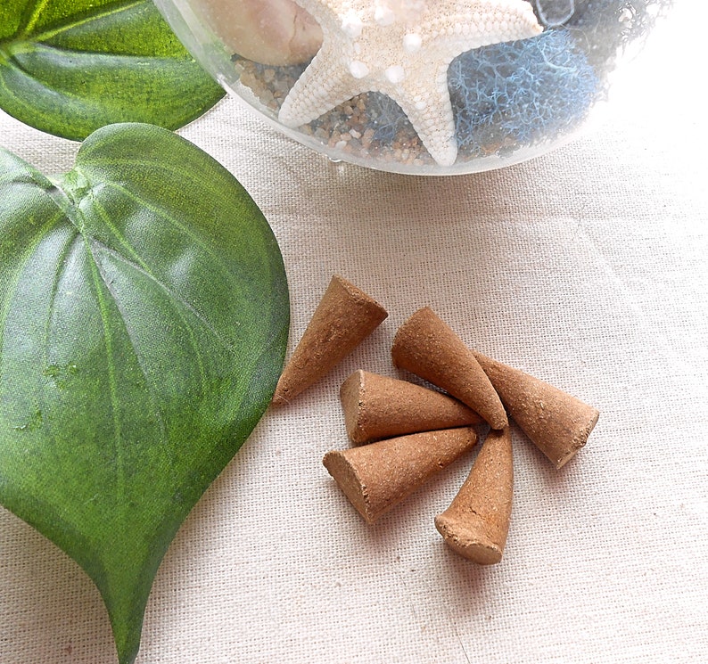 Protection Flowers Summer Decor Incense Sticks Autumn Decor Wiccan Decor Hydrangea Wreath Incense Incense Cones Friendship