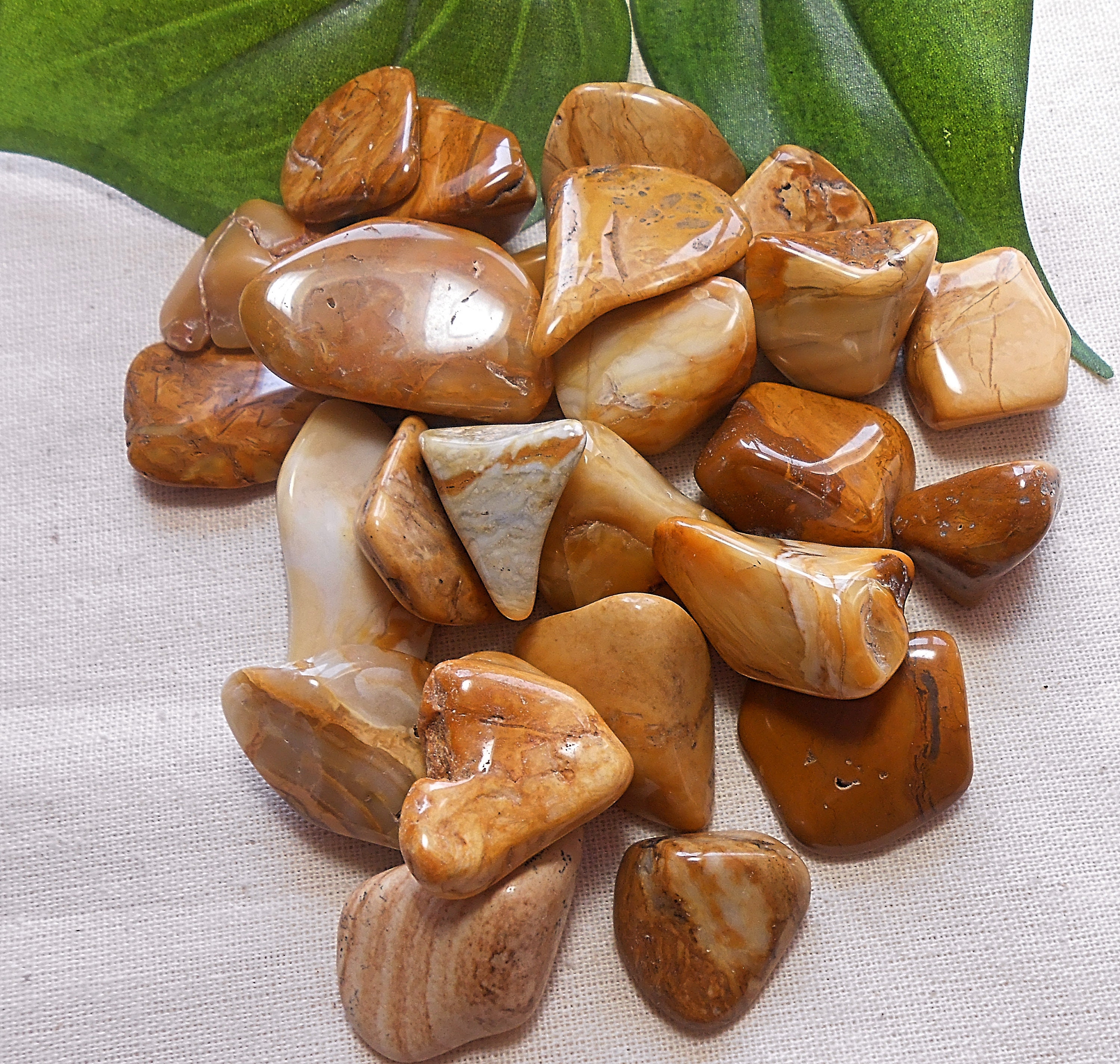 yellow jasper yellow jasper