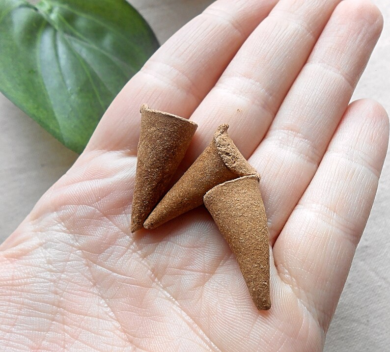 Protection Flowers Summer Decor Incense Sticks Autumn Decor Wiccan Decor Hydrangea Wreath Incense Incense Cones Friendship