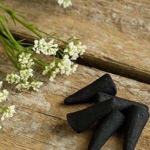 Winter Plum Incense – Cozy Fruity Floral Aroma, Handmade Holiday Scent Charcoal Cones