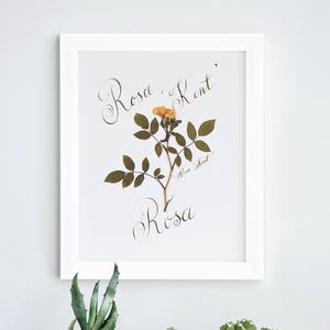 3 Piece wall art / 1st anniversary gift for nature lover / Botanical prints image 1