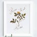 see more listings in the Botanical PRINTS section