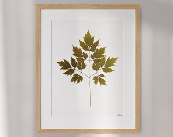 Gift for Gardeners: Botanical Wall Hangings with Real Pressed Leaves. Framed Astilbe Leaf