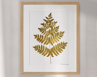 Royal Fern Large Pressed Dried Leaf Art - Elegant Osmunda Regalis Framed Botanical Masterpiece for Timeless Home Decor