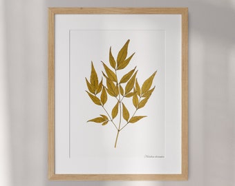 Large Framed Pressed Leaf: Gallery of nature-inspired Home ART decor