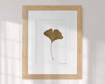 Ginkgo Biloba Leaf Picture - Resilience in Frame - Dried botanical decor