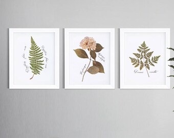 Botanical print set | Etsy