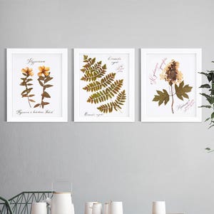 Herbarium / Botanical print set / Hand calligraphy font / Handcrafted watercolor / Decoration murale / Home sweet home sign / Wallpaper art image 1