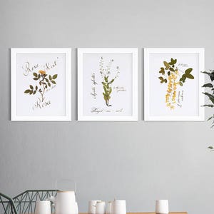 3 Piece wall art / 1st anniversary gift for nature lover / Botanical prints image 3