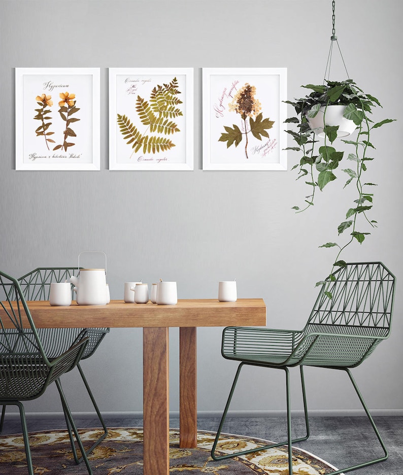 Botanical print set / Pressed flowers / Herbarium / Fern decoration murale / Print of 3 / Custom calligraphy / 5th anniversary gift for wife image 1