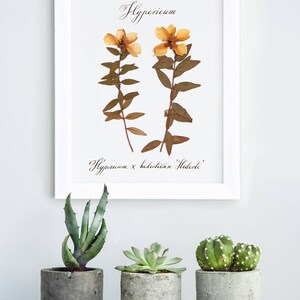 Botanical print set / Pressed flowers / Herbarium / Fern decoration murale / Print of 3 / Custom calligraphy / 5th anniversary gift for wife image 5