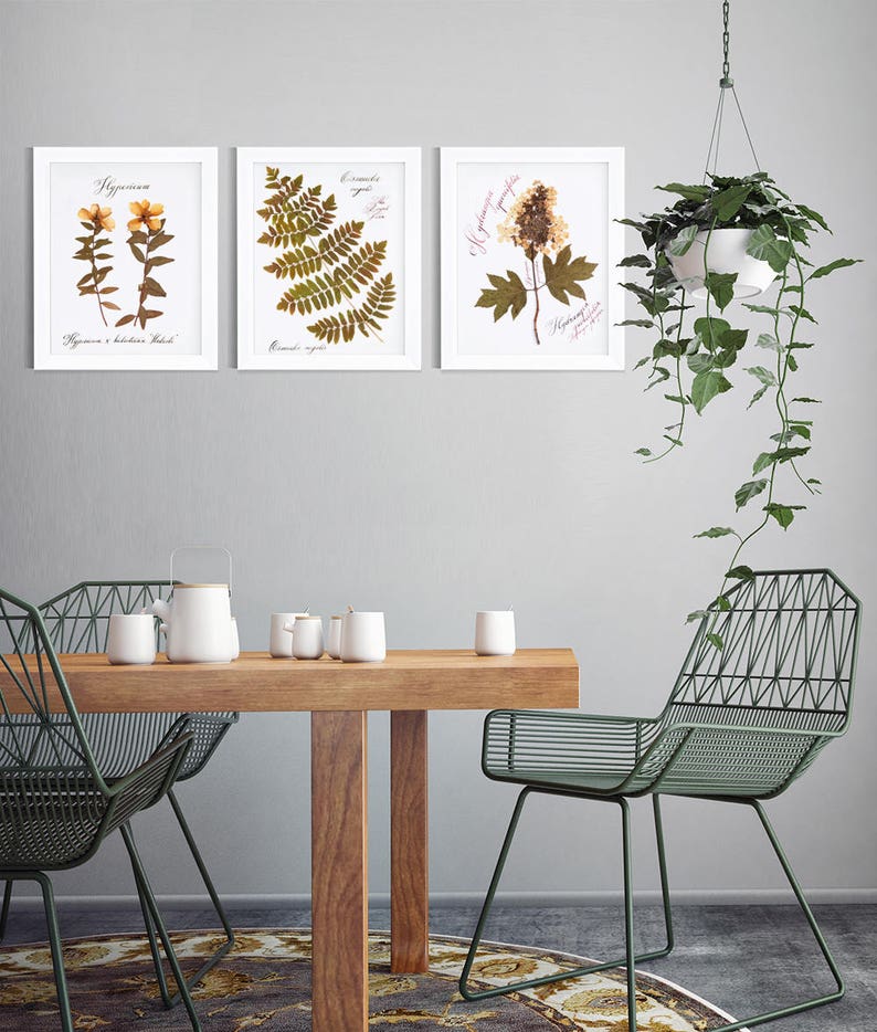 Herbarium / Botanical print set / Hand calligraphy font / Handcrafted watercolor / Decoration murale / Home sweet home sign / Wallpaper art image 1