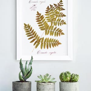 Botanical print set / Pressed flowers / Herbarium / Fern decoration murale / Print of 3 / Custom calligraphy / 5th anniversary gift for wife image 7