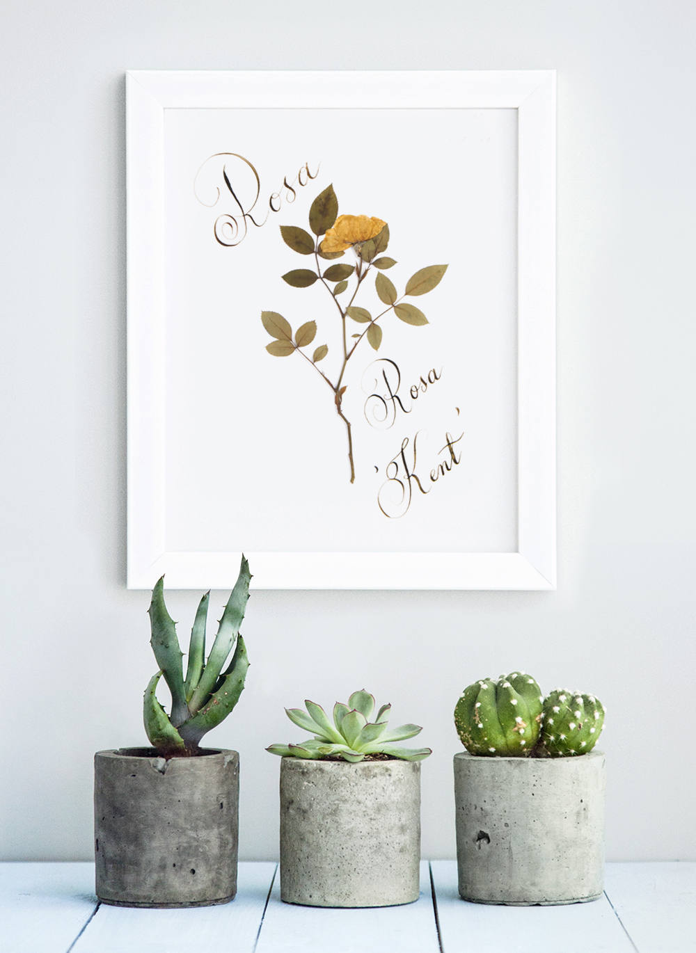 Botanical Print / Pressed Flowers Art / Yellow Rose / Wedding Gift - Etsy