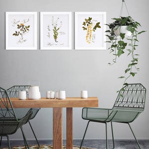 Pressed flower frame / 3 piece wall art / Botanical print / Hand calligraphy image 4