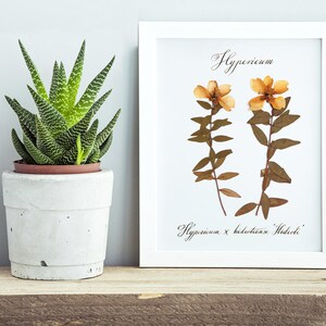 Custom calligraphy botanical print / Flower art / Wedding gift image 2