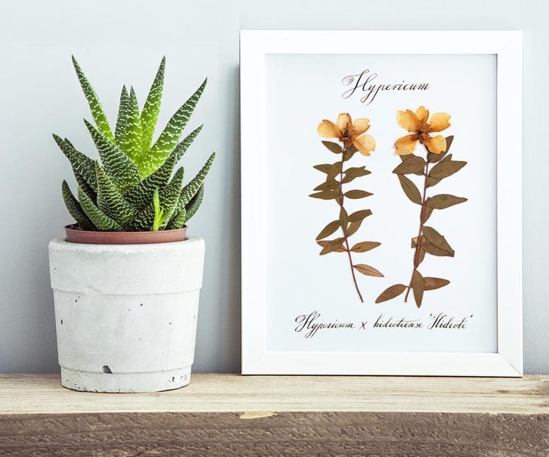 Custom calligraphy botanical print / Flower art / Wedding gift image 2