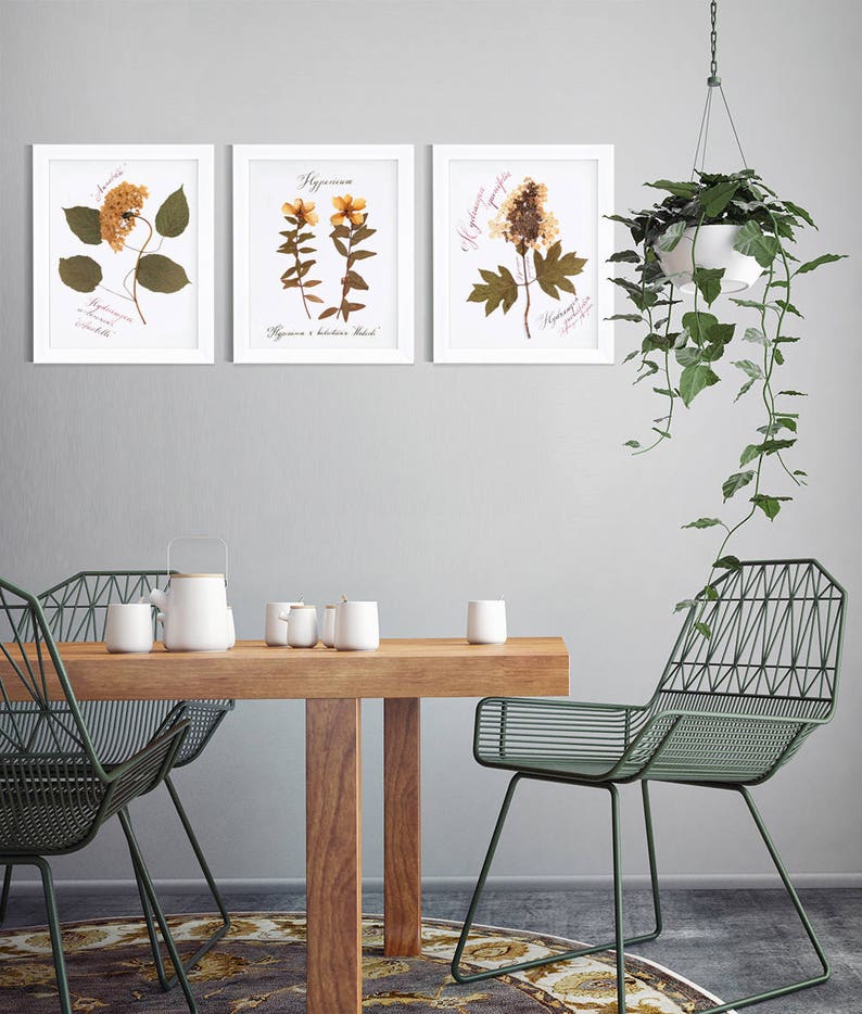 Pressed flower art Dried Annabelle hydrangea botanical print 1st anniversary gift for her