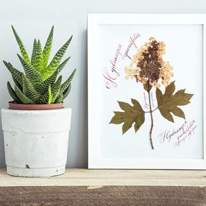 Botanical print set / Pressed flowers / Herbarium / Fern decoration murale / Print of 3 / Custom calligraphy / 5th anniversary gift for wife image 6