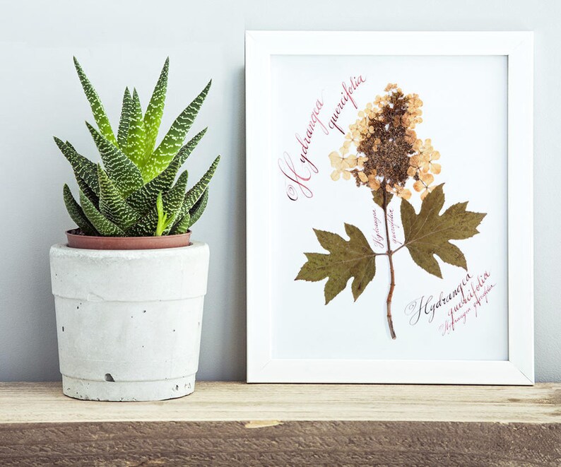 Botanical print set / Pressed flowers / Herbarium / Fern decoration murale / Print of 3 / Custom calligraphy / 5th anniversary gift for wife image 6