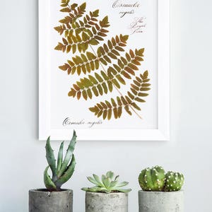 Herbarium / Botanical print set / Hand calligraphy font / Handcrafted watercolor / Decoration murale / Home sweet home sign / Wallpaper art image 6