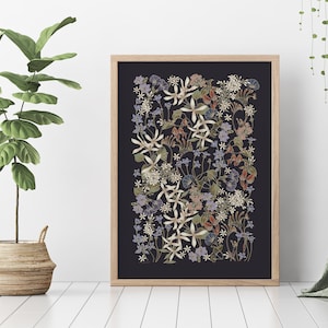 Australian, Natives, Wildflowers, Flowers, Floral, Botanical,  Dark Background, Drawing, Art Print, Wall Art