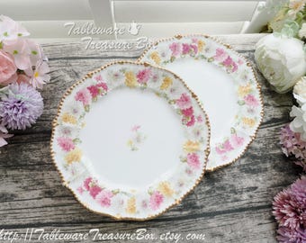 2pc set - ELITE Works Limoges France Plates