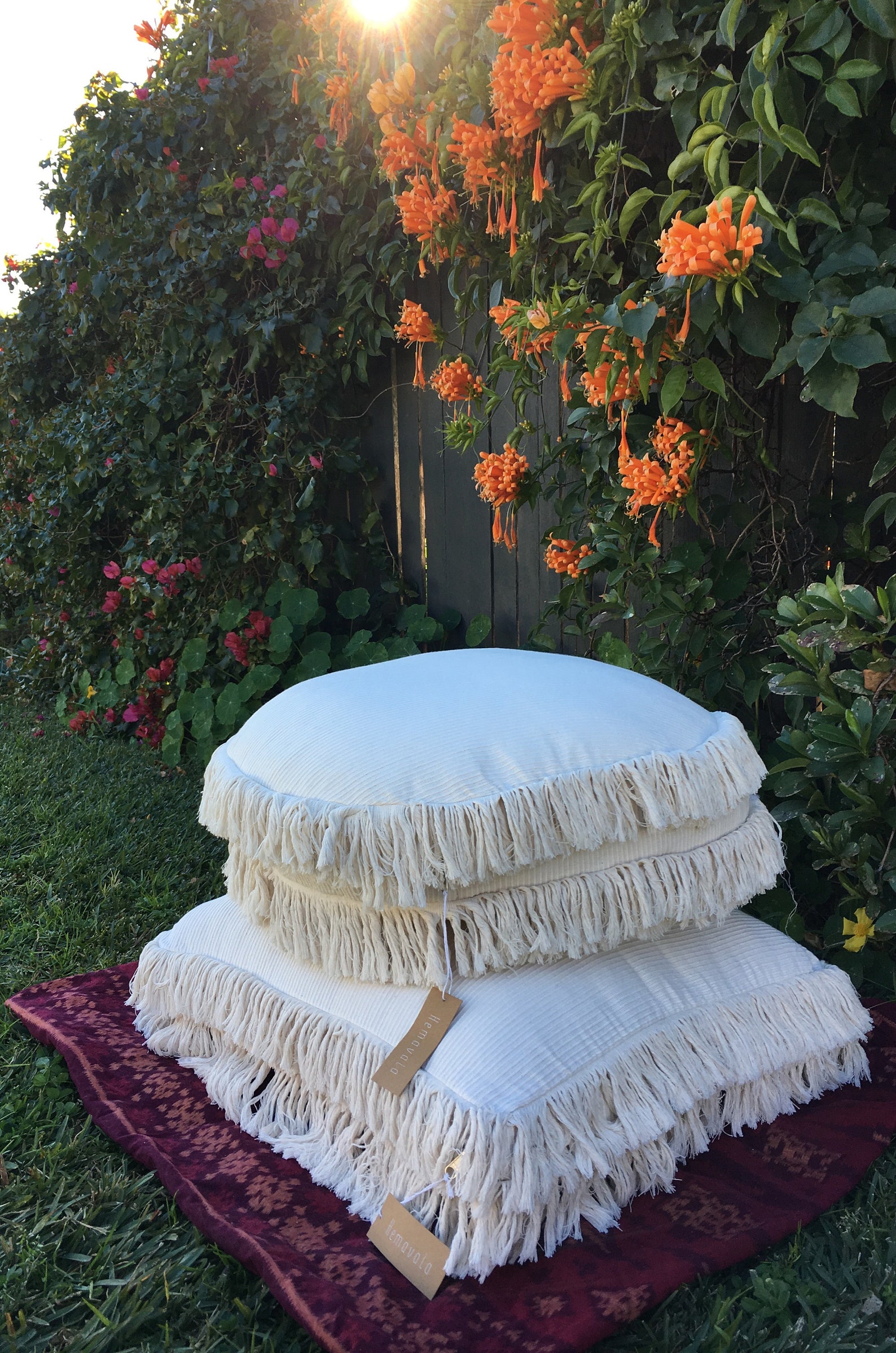 cushion swami