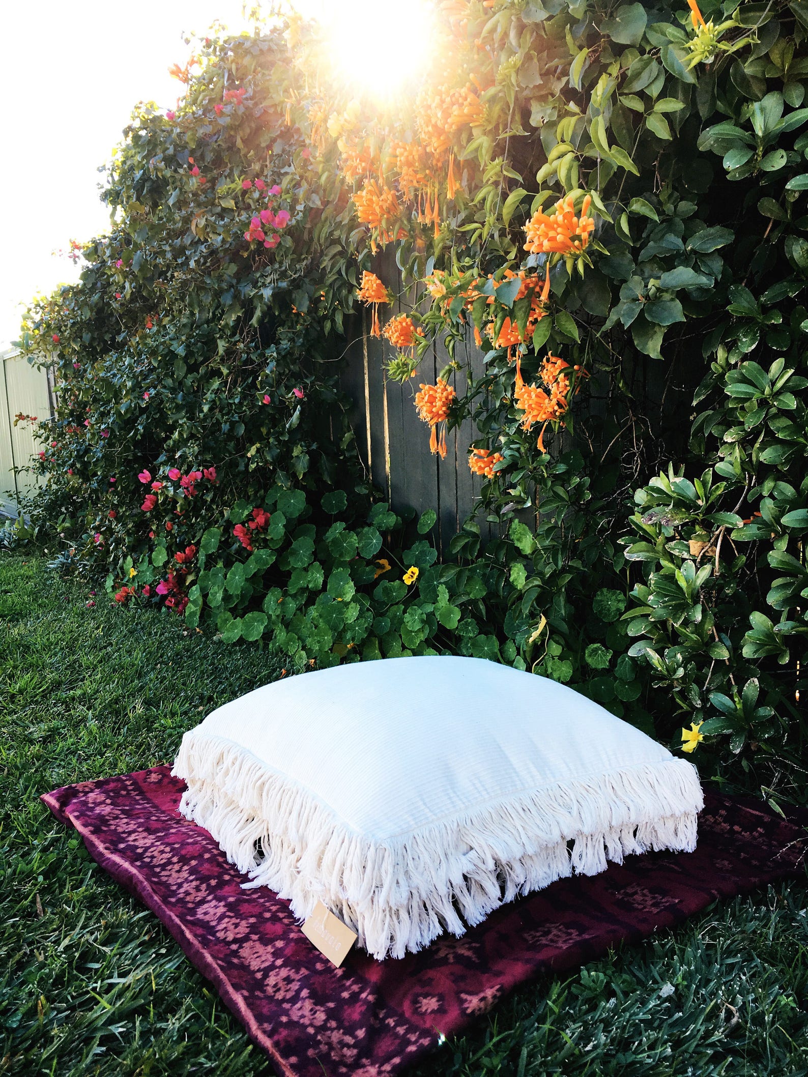 cushion swami
